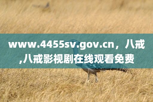 www.4455sv.gov.cn，八戒,八戒影视剧在线观看免费