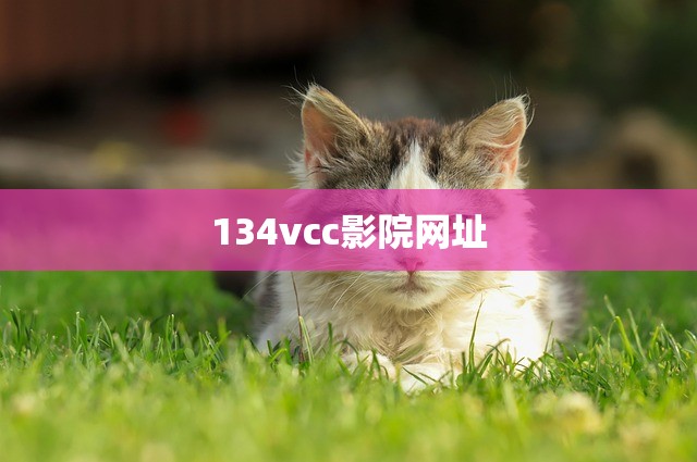 134vcc影院网址