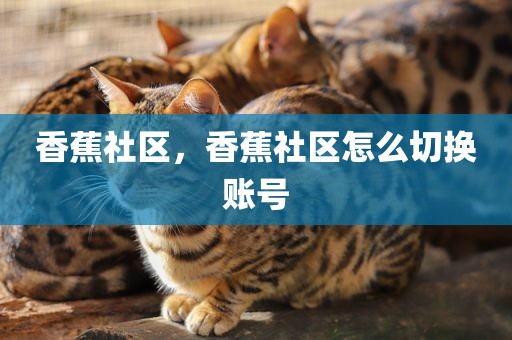香蕉社区，香蕉社区怎么切换账号