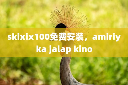 skixix100免费安装，amiriyka jalap kino