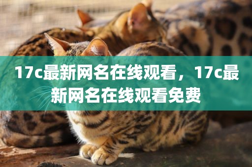 17c最新网名在线观看，17c最新网名在线观看免费