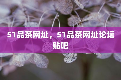 51品茶网址，51品茶网址论坛贴吧