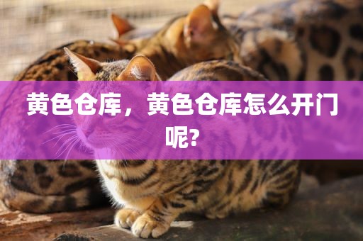 黄色仓库，黄色仓库怎么开门呢?