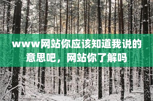 www网站你应该知道我说的意思吧，网站你了解吗