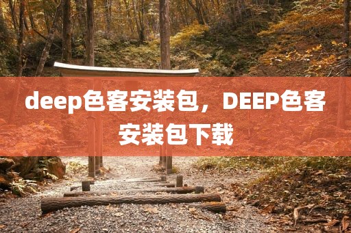 deep色客安装包，DEEP色客安装包下载