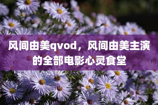 风间由美qvod，风间由美主演的全部电影心灵食堂