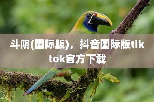 斗阴(国际版)，抖音国际版tiktok官方下载