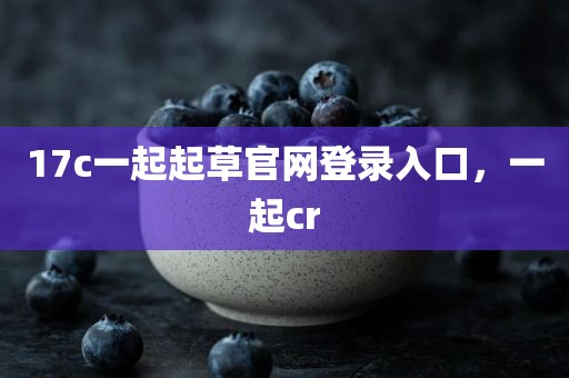17c一起起草官网登录入口，一起cr