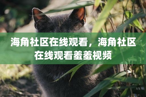 海角社区在线观看，海角社区在线观看羞羞视频
