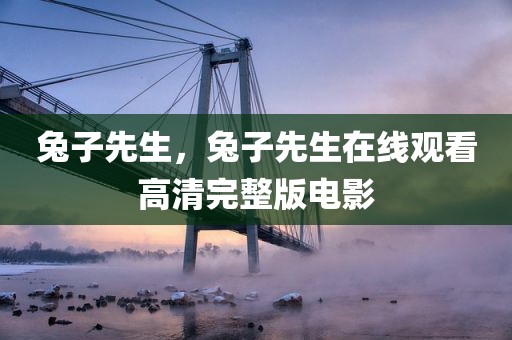 兔子先生，兔子先生在线观看高清完整版电影