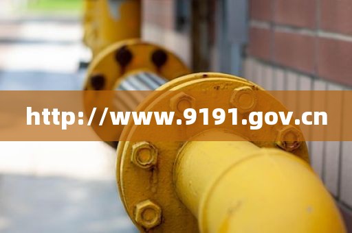 http://www.9191.gov.cn