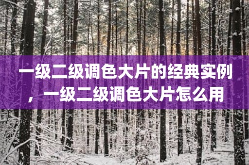 一级二级调色大片的经典实例，一级二级调色大片怎么用