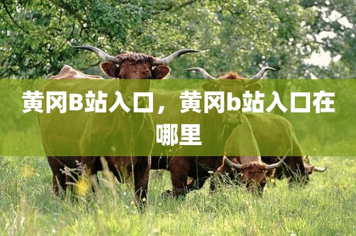 黄冈B站入口，黄冈b站入口在哪里