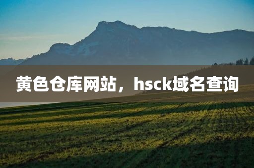 黄色仓库网站，hsck域名查询