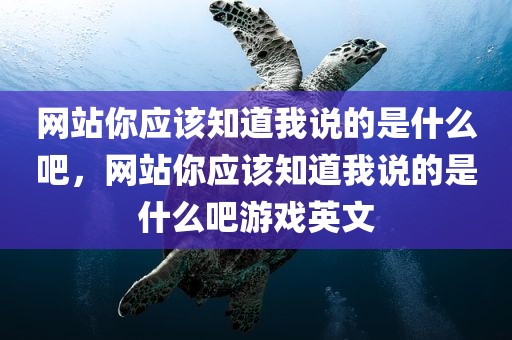 网站你应该知道我说的是什么吧，网站你应该知道我说的是什么吧游戏英文