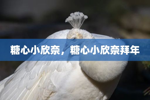 糖心小欣奈，糖心小欣奈拜年