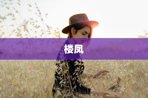 楼凤