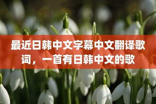 最近日韩中文字幕中文翻译歌词，一首有日韩中文的歌