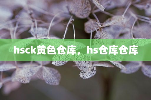 hsck黄色仓库，hs仓库仓库