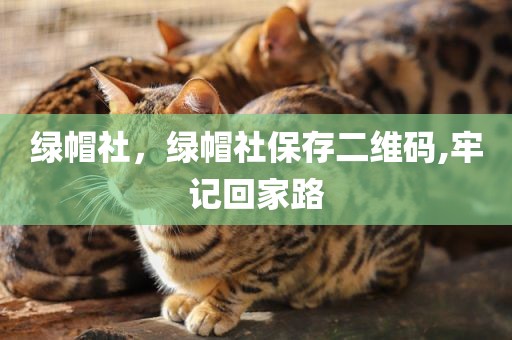 绿帽社，绿帽社保存二维码,牢记回家路