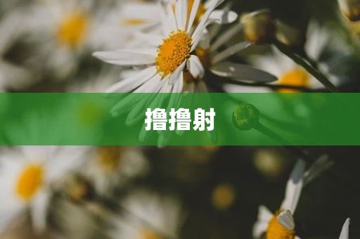 撸撸射
