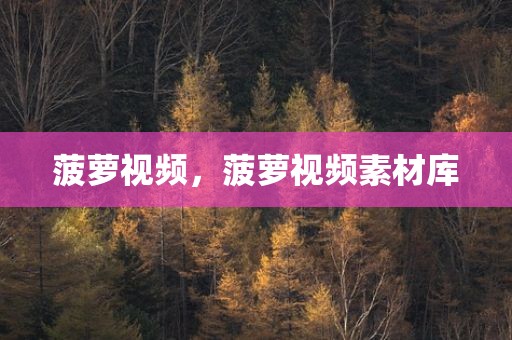 菠萝视频，菠萝视频素材库