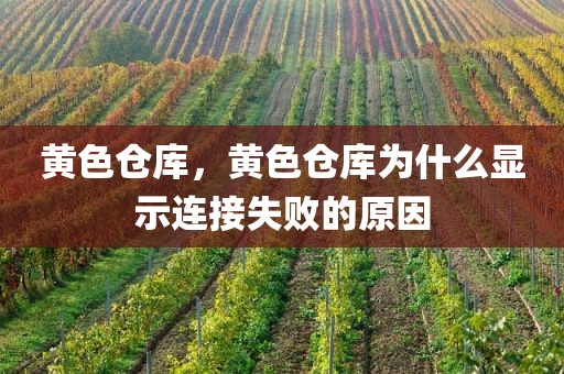 黄色仓库，黄色仓库为什么显示连接失败的原因