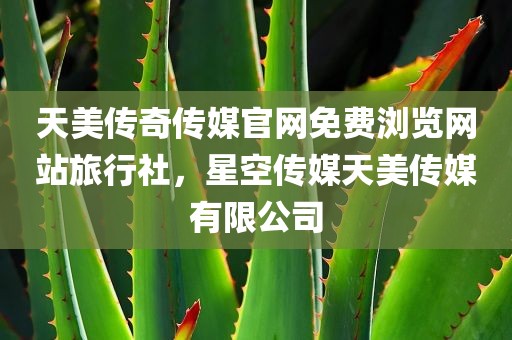 天美传奇传媒官网免费浏览网站旅行社，星空传媒天美传媒有限公司