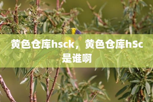 黄色仓库hsck，黄色仓库hSc是谁啊