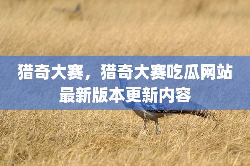 猎奇大赛，猎奇大赛吃瓜网站最新版本更新内容