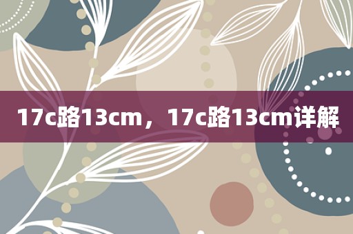 17c路13cm，17c路13cm详解