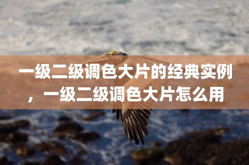 一级二级调色大片的经典实例，一级二级调色大片怎么用