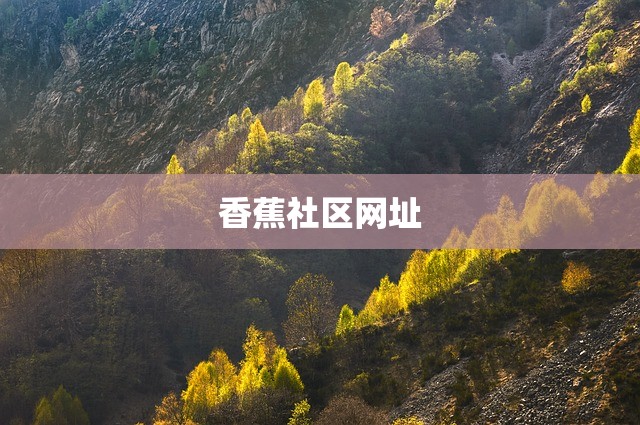 香蕉社区网址