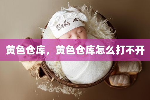 黄色仓库，黄色仓库怎么打不开