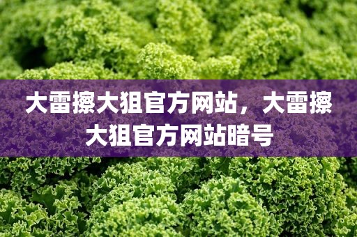大雷擦大狙官方网站，大雷擦大狙官方网站暗号