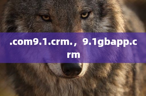 .com9.1.crm.，9.1gbapp.crm