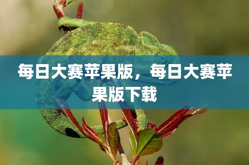 每日大赛苹果版，每日大赛苹果版下载
