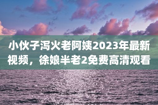 小伙子泻火老阿姨2023年最新视频，徐娘半老2免费高清观看