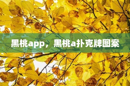 黑桃app，黑桃a扑克牌图案