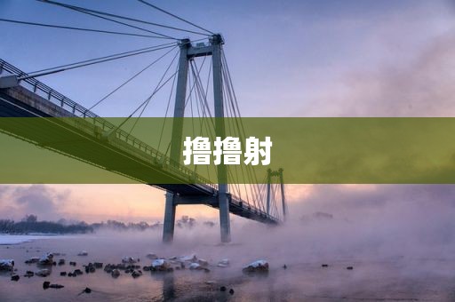 撸撸射