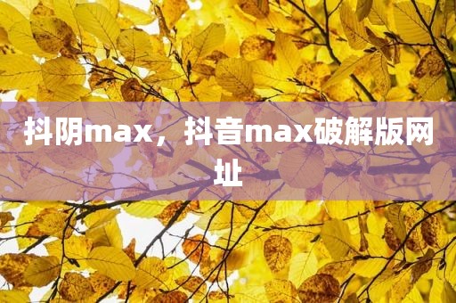 抖阴max，抖音max破解版网址