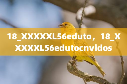 18_XXXXXL56eduto，18_XXXXXL56edutocnvidos
