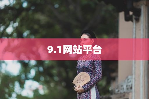 9.1网站平台