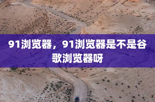 91浏览器，91浏览器是不是谷歌浏览器呀