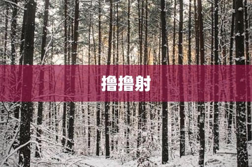 撸撸射