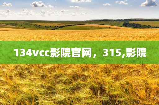 134vcc影院官网，315,影院