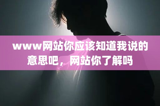 www网站你应该知道我说的意思吧，网站你了解吗