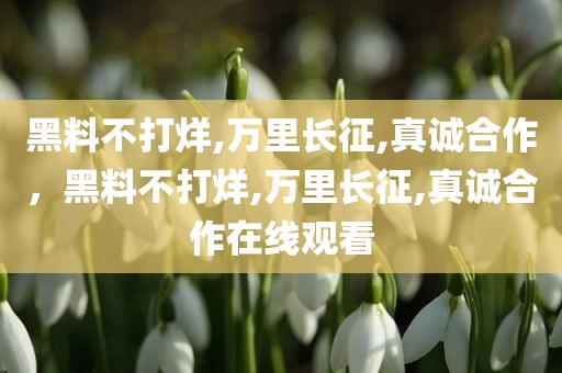 黑料不打烊,万里长征,真诚合作，黑料不打烊,万里长征,真诚合作在线观看