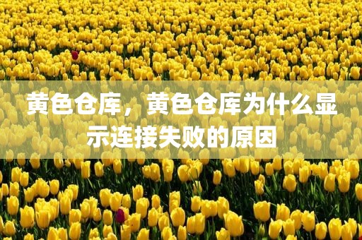 黄色仓库，黄色仓库为什么显示连接失败的原因
