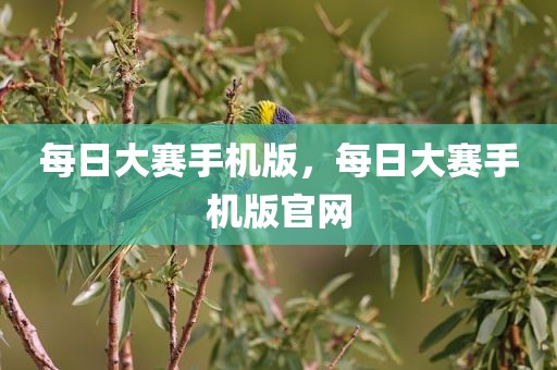 每日大赛手机版，每日大赛手机版官网